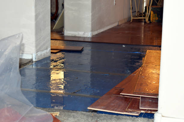 Professional Basement Water Removal technician working in Smiley, TX